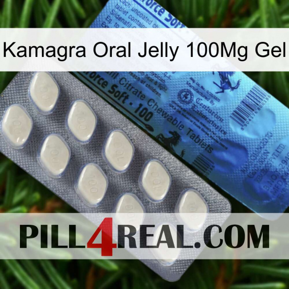 Kamagra Oral Jelly 100Mg Gel 34.jpg